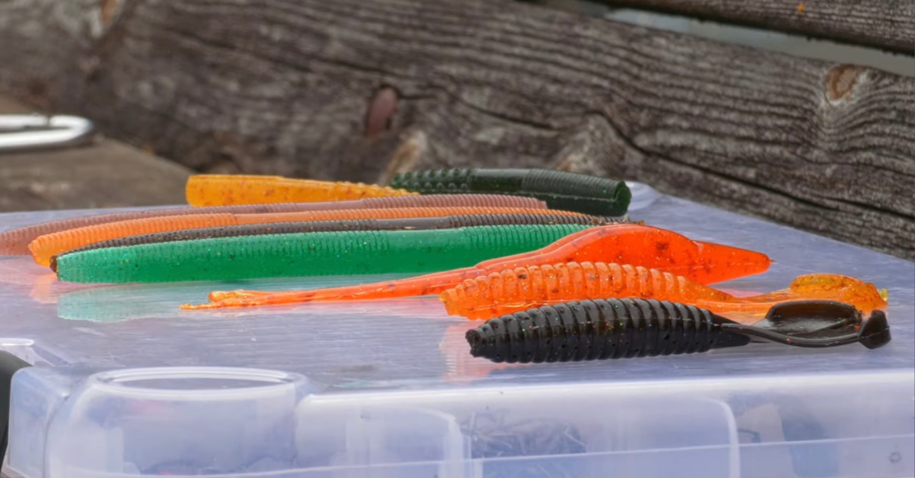 Behind the Bait: How Evan Rechelbacher turned a fishing problem into a purpose.