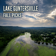 Collection image for: Lake Guntersville Fall Picks