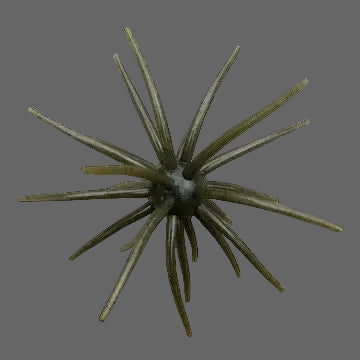 Jerkin Urchin 25mm
