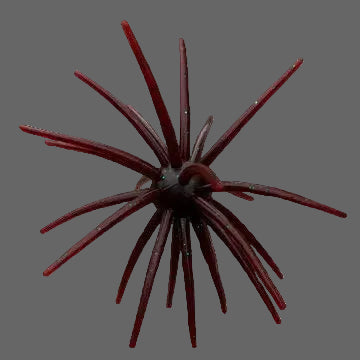 Jerkin Urchin 25mm