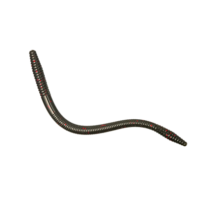 6" Finesse Worm